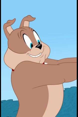 El show de Tom y Jerry. T(T3). El show de Tom y... (T3): Las perrolimpiadas