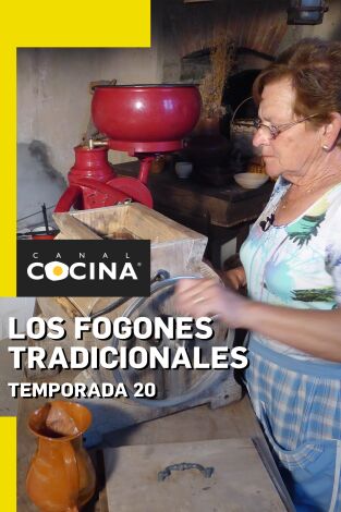 Los fogones tradicionales. T(T20). Los fogones tradicionales (T20)