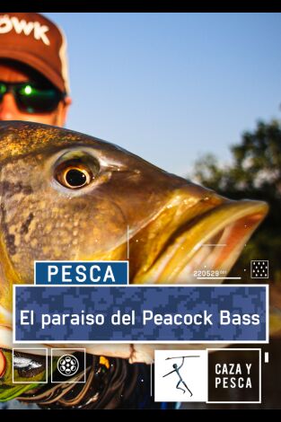 El paraíso del Peacock Bass