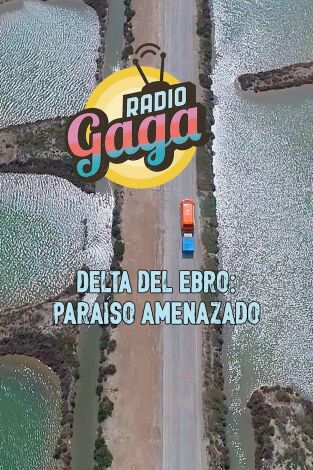 Radio Gaga. T(T6). Radio Gaga (T6): Delta del Ebro: paraíso amenazado