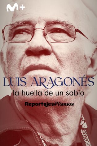 Luis Aragonés, la huella de un sabio