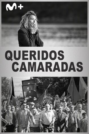 Queridos camaradas
