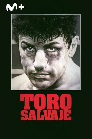 Toro salvaje