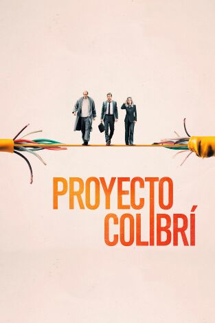 El proyecto colibrí