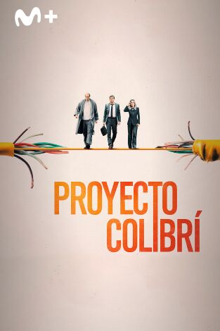 El proyecto colibrí