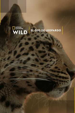 El ojo de leopardo