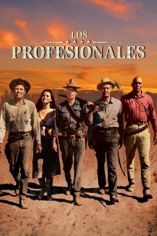 Los profesionales