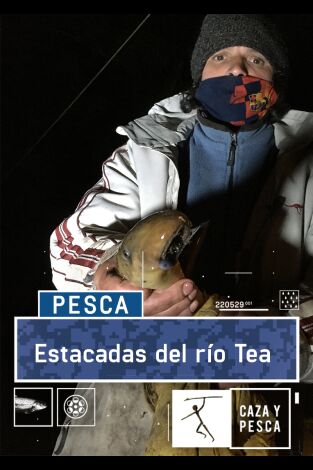 Estacadas del río Tea