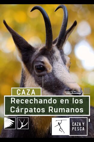 Recechando en los Cárpatos rumanos