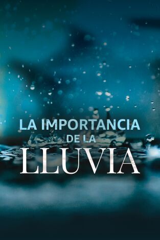 La importancia de la lluvia