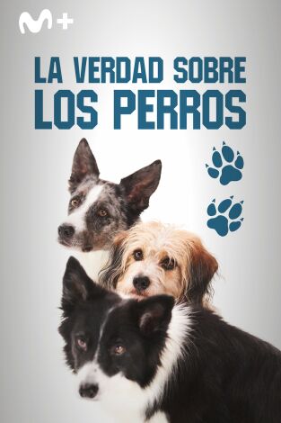 La verdad sobre los perros