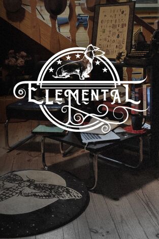 Elemental. T(T1). Elemental (T1): Todo lo que somos: ADN