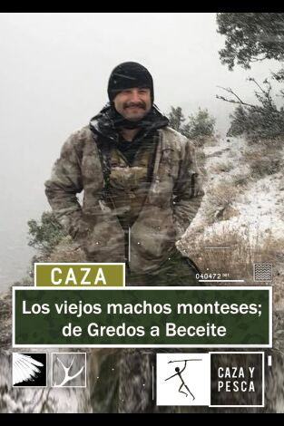 Los viejos machos monteses: De Gredos a Beceite