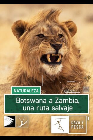 Botswana a Zambia una ruta salvaje