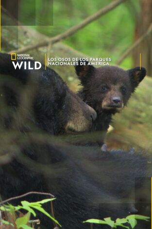 Los Osos de los Parques Nacionales de America