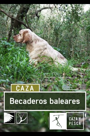 Becaderos Baleares. T(T1). Becaderos Baleares (T1): Festival de becadas en Ibiza