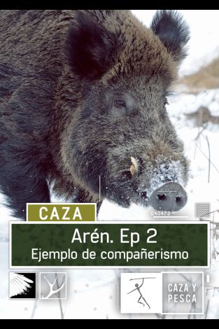 Aren. T(T1). Aren (T1): Aren, ejemplo de compañerismo