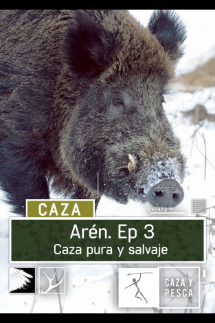 Aren. T(T1). Aren (T1): Aren, caza pura y salvaje