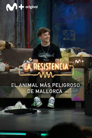 Lo + de las entrevistas de deportes. T(T6). Lo + de las... (T6): El animal más peligroso de Mallorca - 8.11.22