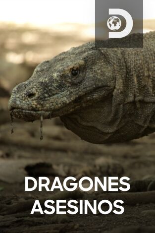 Dragones asesinos