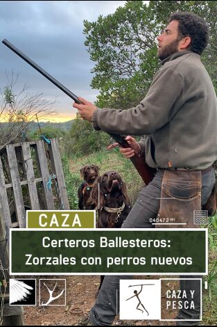 Certeros Ballesteros: Zorzales con perros nuevos