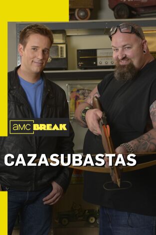 Cazasubastas. T(T4). Cazasubastas (T4)