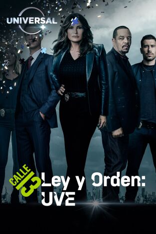 Ley y orden: unidad de víctimas especiales. T(T24). Ley y Orden:... (T24): Ep.13 Intersección