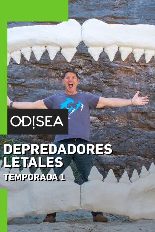 Depredadores letales. Depredadores letales: Tiburones