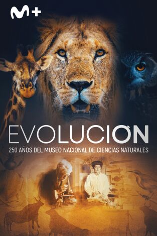 Evolución: 250 años del Museo Nacional de Ciencias Naturales