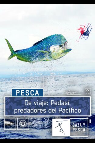 De viaje: Pedasí, predadores del Pacífico