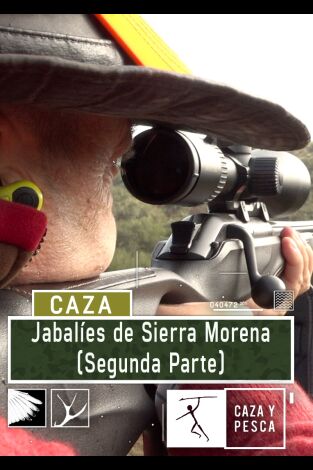 Jabalíes de Sierra Morena, 2ª parte
