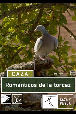 Románticos de la torcaz