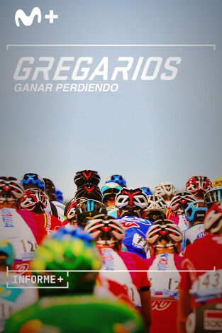 Informe Plus+. Gregarios. Ganar perdiendo