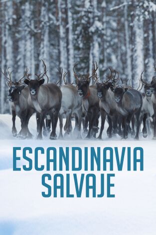 Escandinavia salvaje. Escandinavia salvaje 