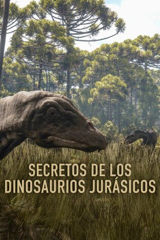 Secretos de los dinosaurios jurásicos