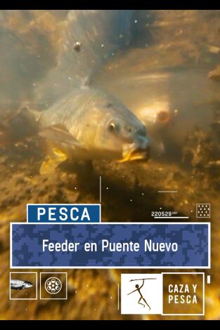 Feeder en Puente Nuevo