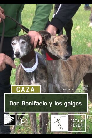 Don Bonifacio y los galgos