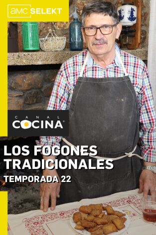 Los fogones tradicionales. T(T22). Los fogones tradicionales (T22)