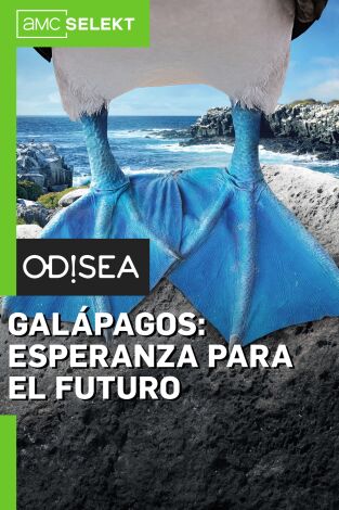 Galápagos: esperanza para el futuro. Galápagos: esperanza...: Paraíso escondido