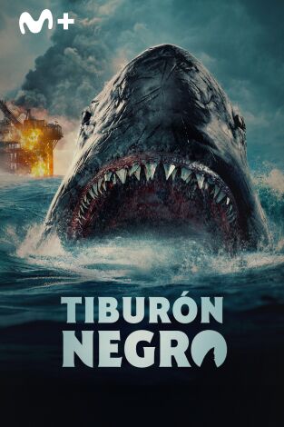 Tiburón negro