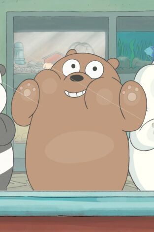 Somos Osos. T(T1). Somos Osos (T1): Tienda de animales