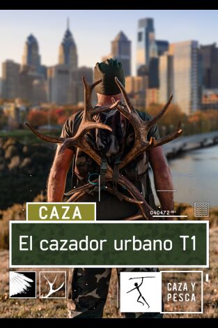 El cazador urbano. El cazador urbano: Gansos entre la niebla