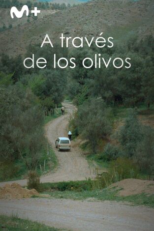 A través de los olivos