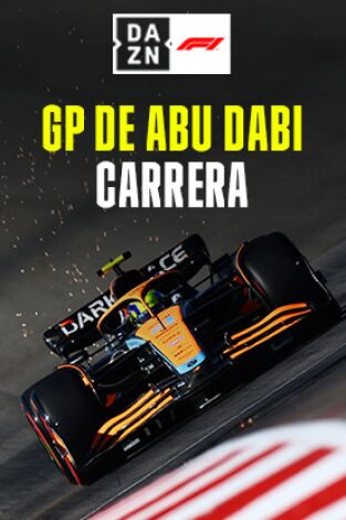 GP de Abu Dabi (Yas Marina). GP de Abu Dabi (Yas...: GP de Abu Dabi: Carrera