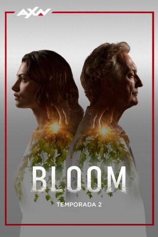 Bloom