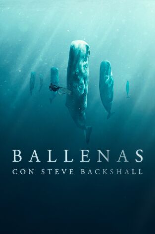 Ballenas con Steve Backshall. Ballenas con Steve Backshall 