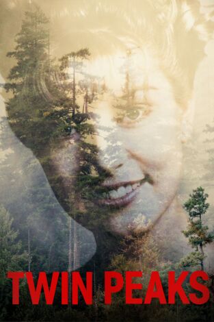 Twin Peaks: el regreso. T(T3). Twin Peaks: el... (T3): Ep.6 Parte 6