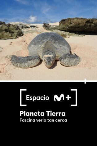 Espacio M+. T(T1). Espacio M+ (T1): Planeta Tierra. Fascina verlo tan cerca