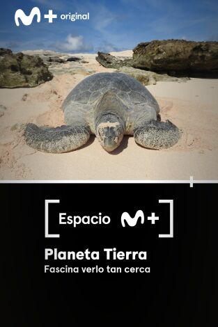 Espacio M+. T(T1). Espacio M+ (T1): Planeta Tierra. Fascina verlo tan cerca