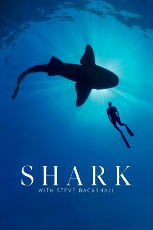 Shark with Steve Backshall. Shark with Steve...: Tiburones del Océano Índico